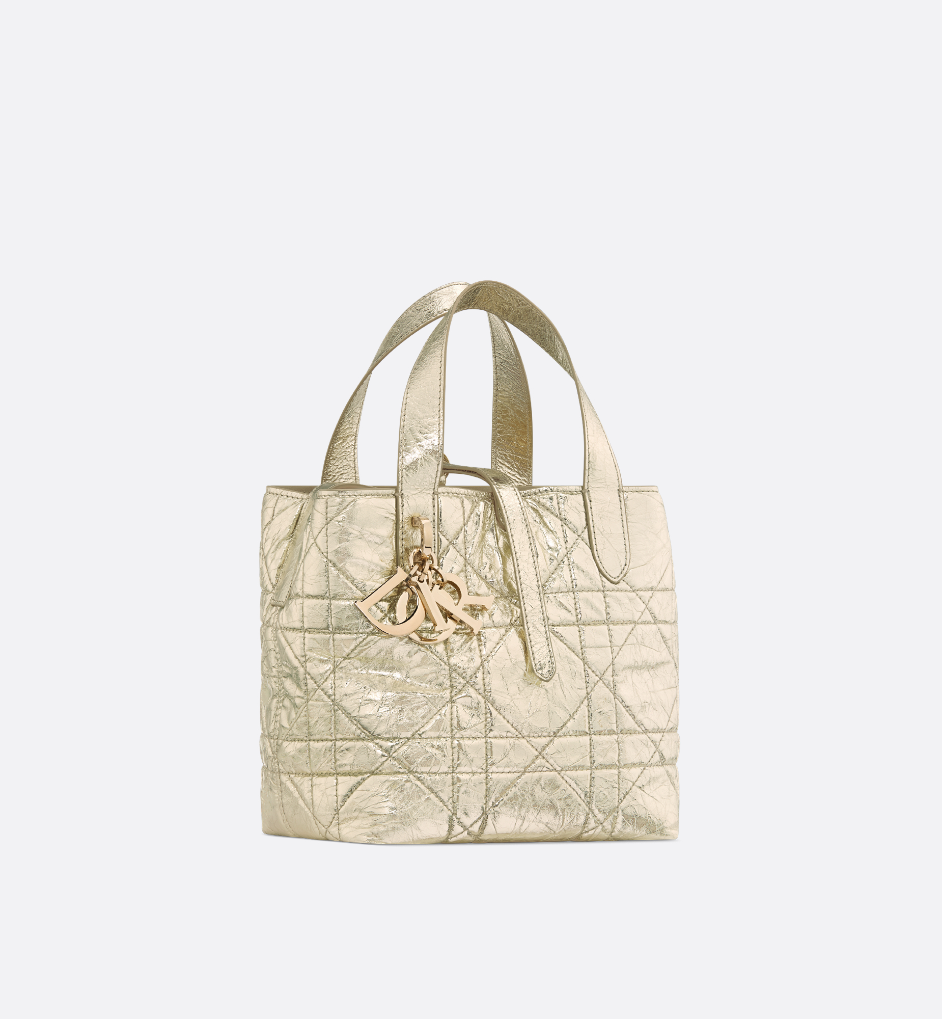 Small Dior Toujours Vertical Tote Bag Gold