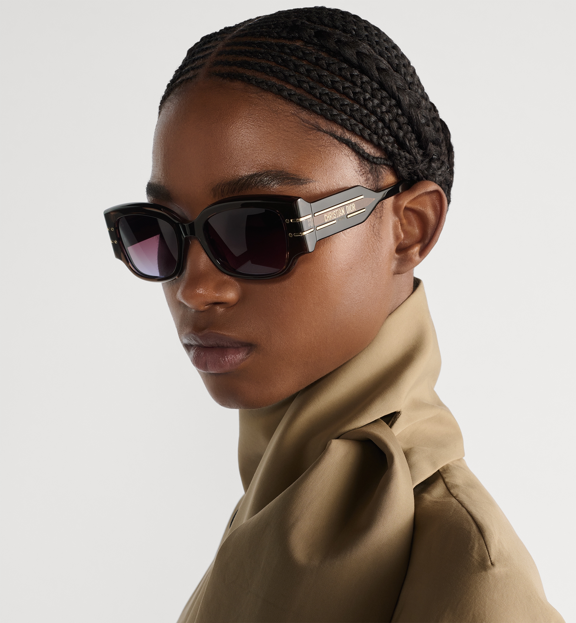 DiorSignature S13I Brown