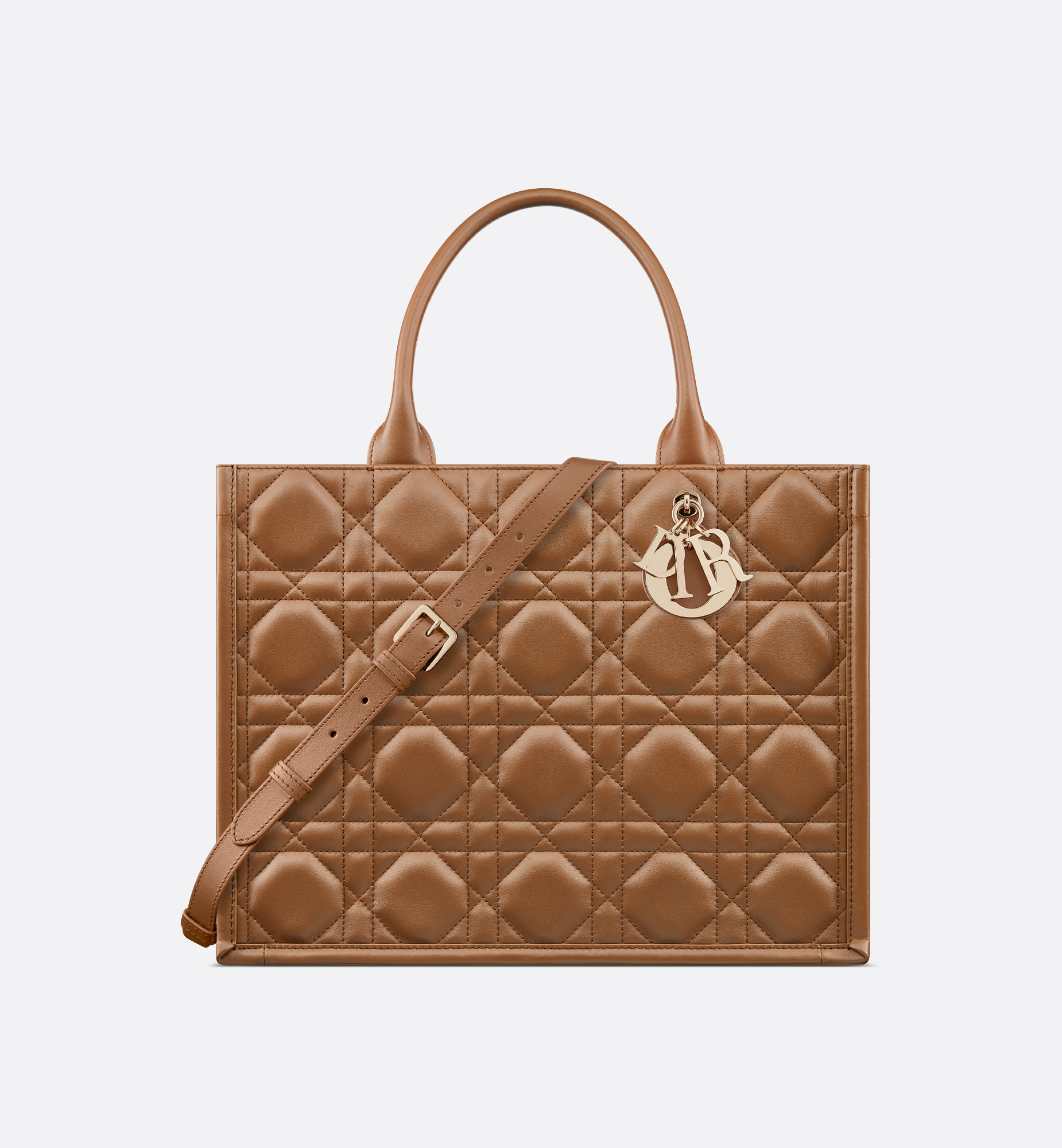 Medium Dior Book Tote Brown