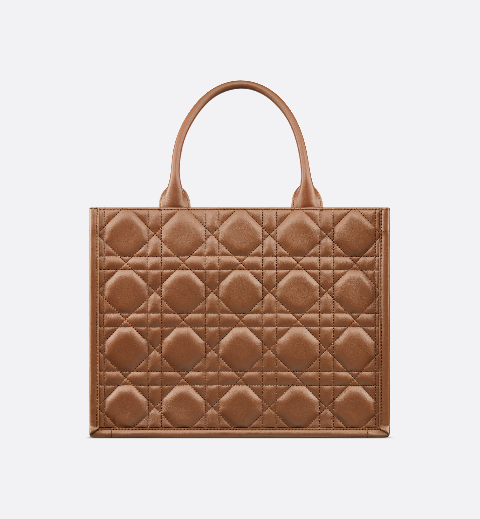 Medium Dior Book Tote Brown