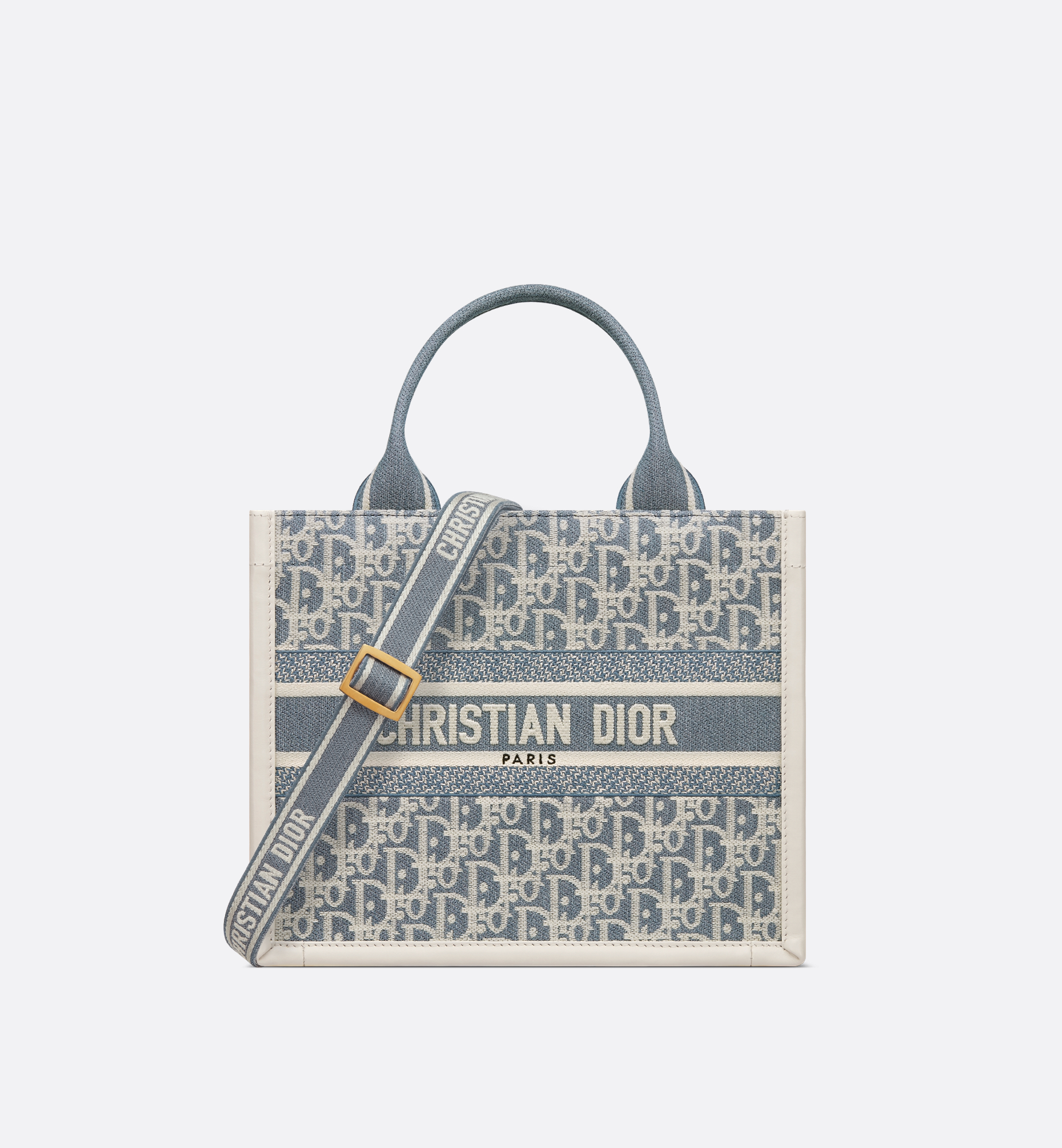 Small Dior Book Tote Blue