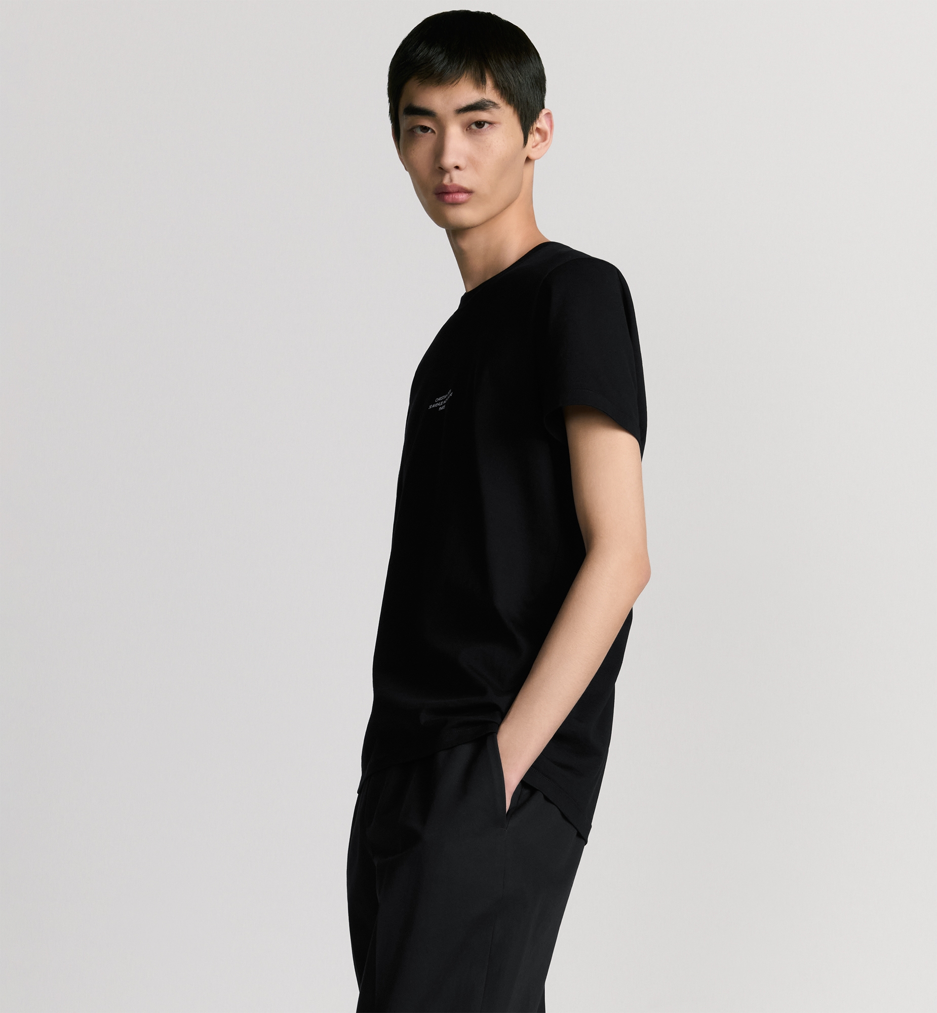 Dior Montaigne T-Shirt, Regular Fit Black