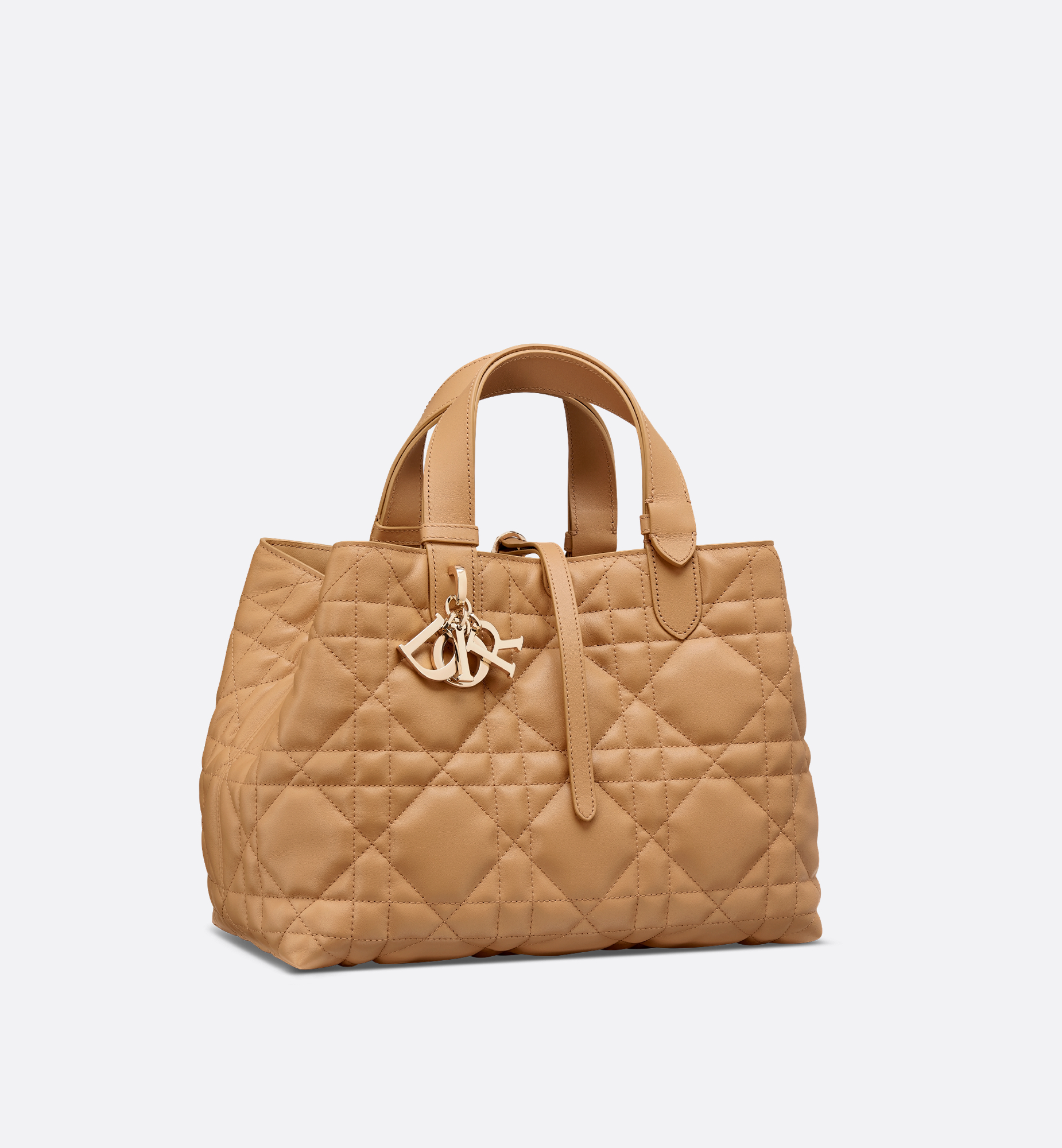 Medium Dior Toujours Bag Brown