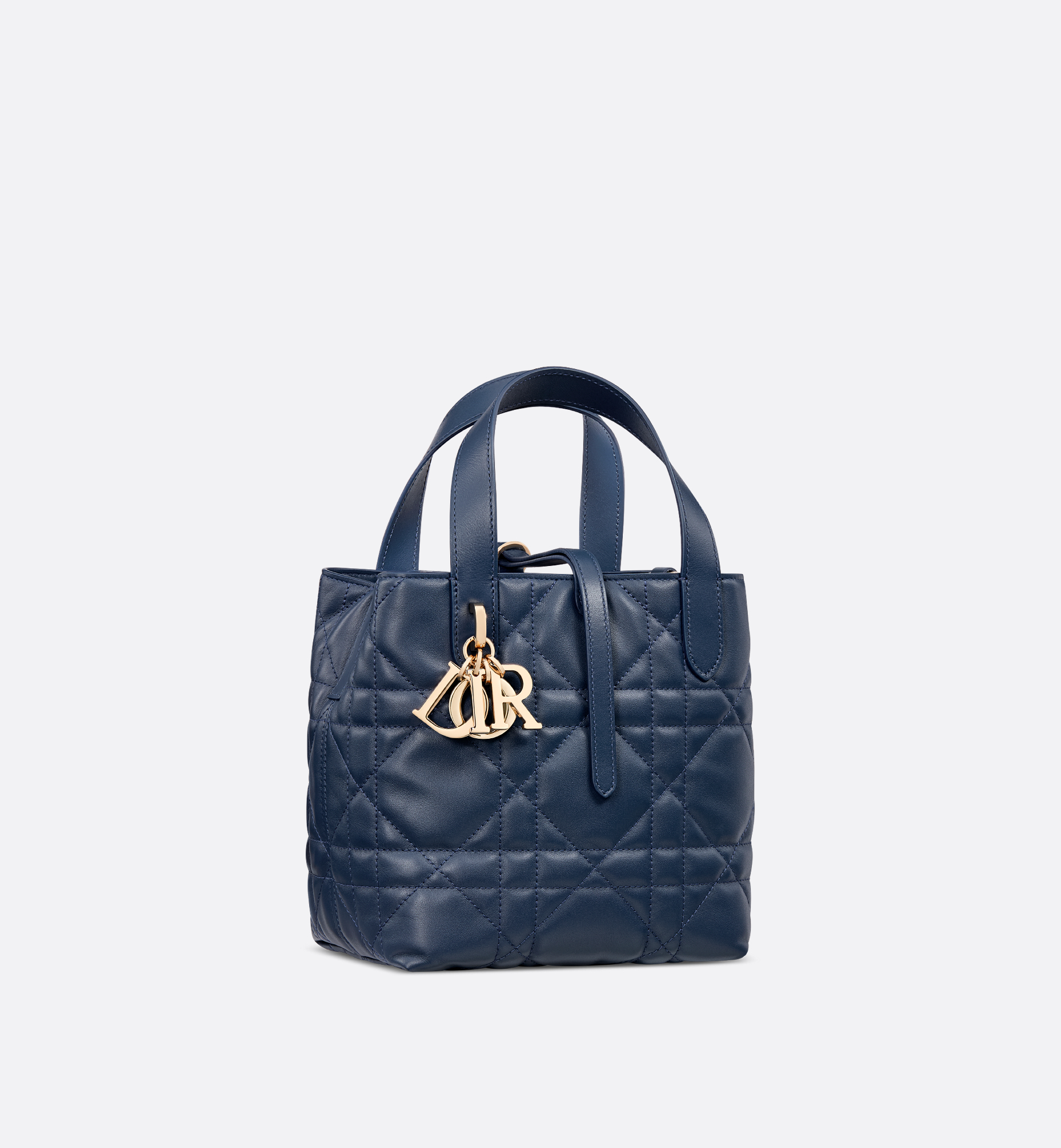 Small Dior Toujours Vertical Tote Bag Blue