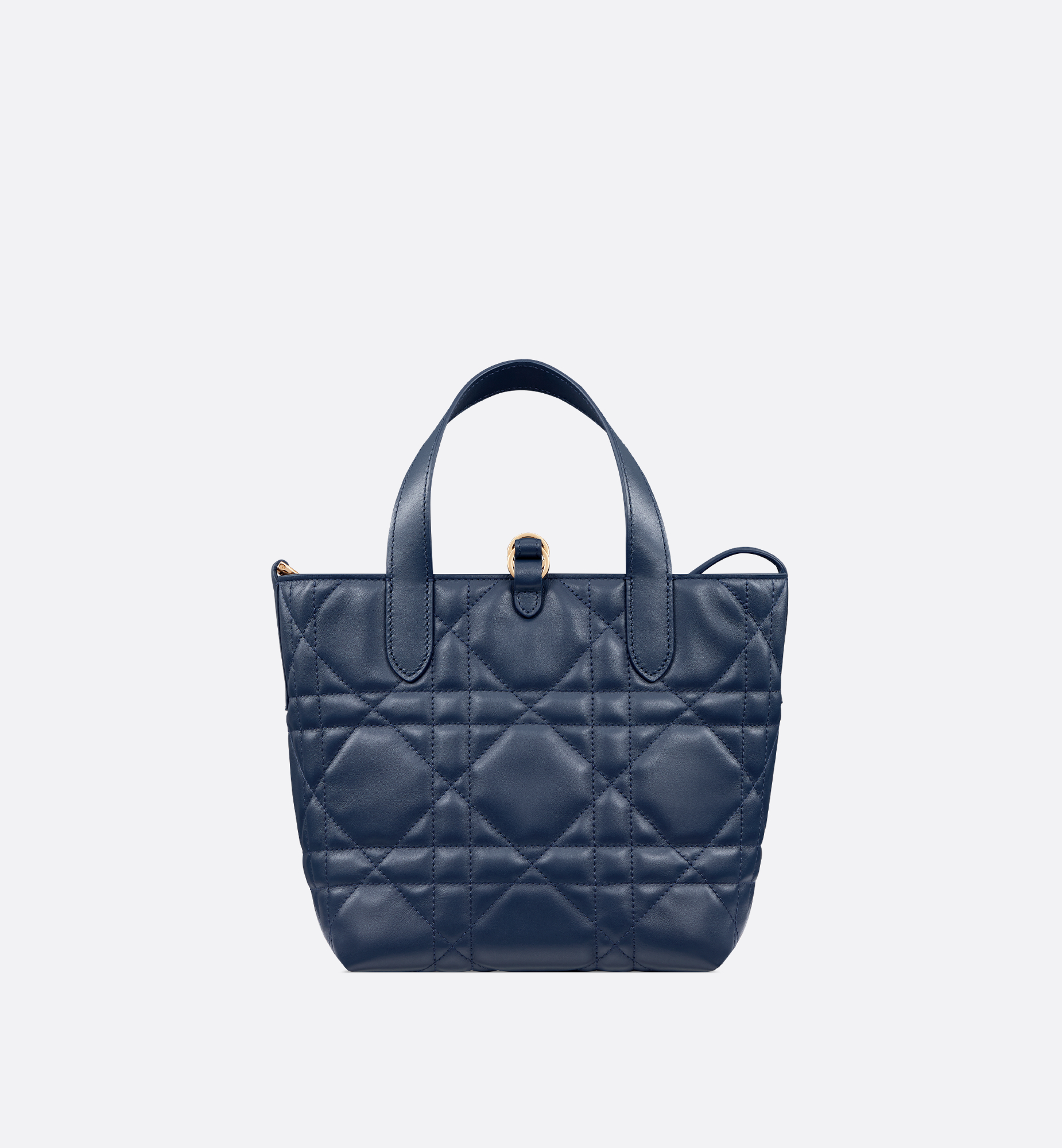 Small Dior Toujours Vertical Tote Bag Blue